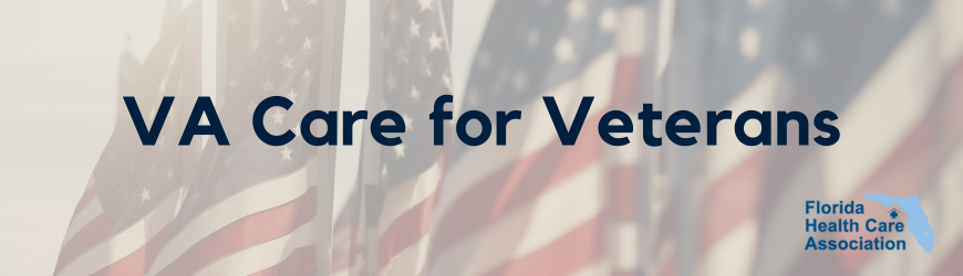 VA Care for Veterans Webinar